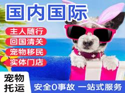 玉龙机场快运国际宠物托运 【国